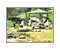 Auto Camp